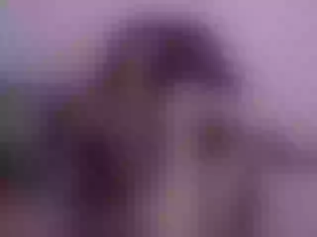 Live sex webcam photo for miss-viollet #271223786