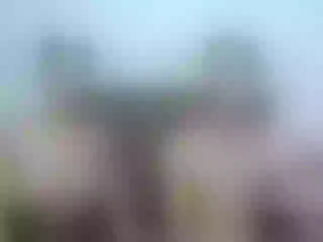 Live sex webcam photo for ShirleyEduard #271219024