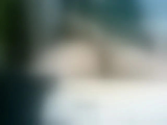 Live sex webcam photo for Asianlyn #271211005