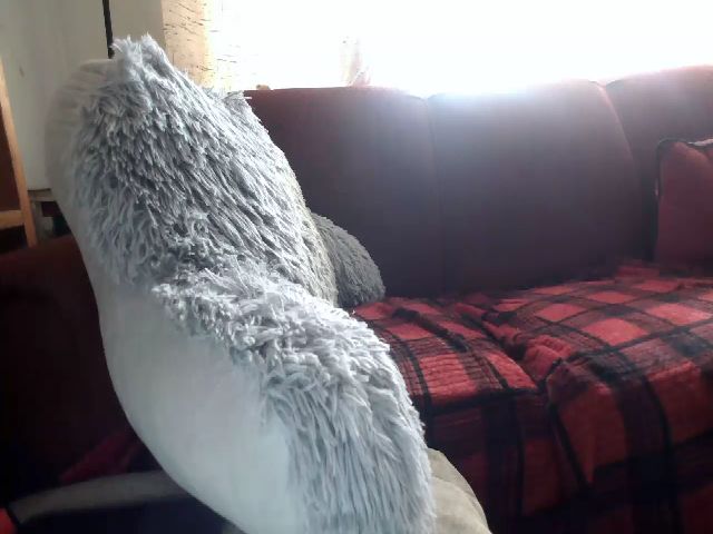 Live sex webcam photo for Weetziebabe #271236667