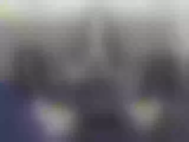 Live sex webcam photo for INDIRRA #271230955