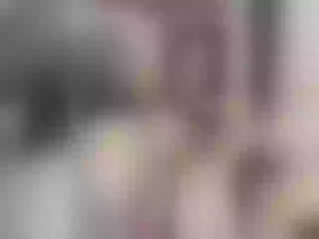 Live sex webcam photo for multixnxx #271244990