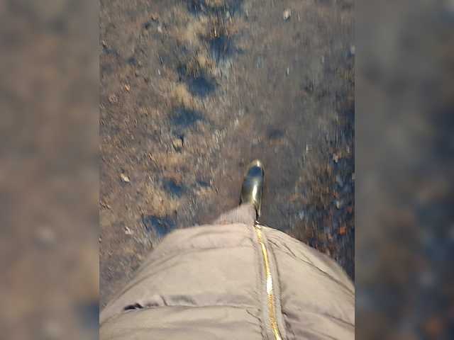 Live sex webcam photo for relishsavor #271261736