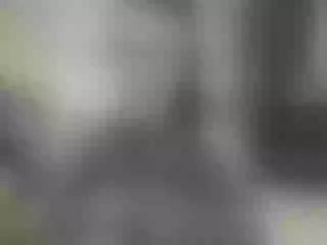 Live sex webcam photo for BlackCatxx #271265393