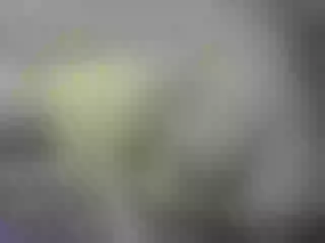 Live sex webcam photo for Misskristina #271262476