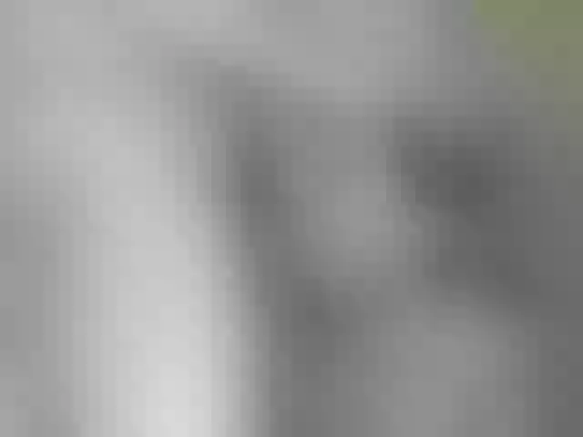 Live sex webcam photo for anto-leo #271261652