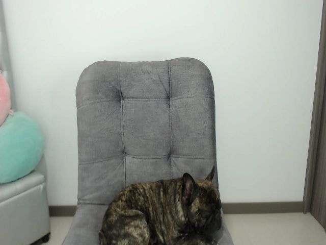 Live sex webcam photo for Britanny_hott #271284219