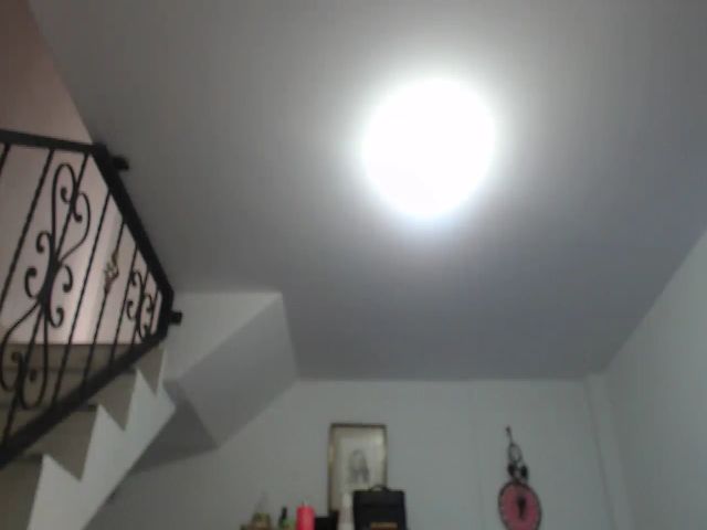 Live sex webcam photo for LAURA_VELIS #271283341