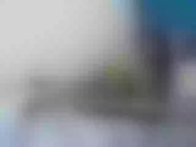 Live sex webcam photo for Kardaluna #271290026