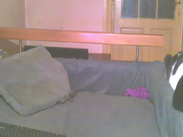 Live sex webcam photo for Lili_Mari69 #271296239