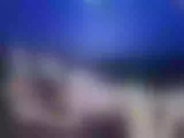 Live sex webcam photo for Sexy--house #271289168