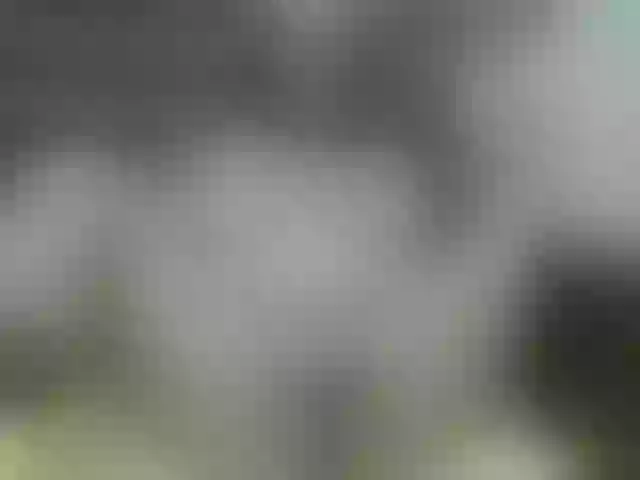 Live sex webcam photo for Madan-laren #271297385