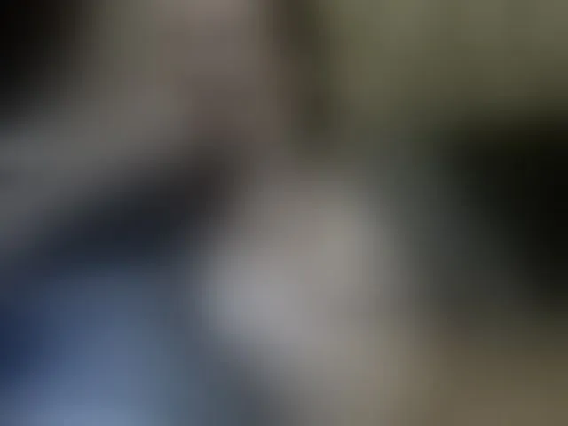 Live sex webcam photo for REPTILIAY #271314137