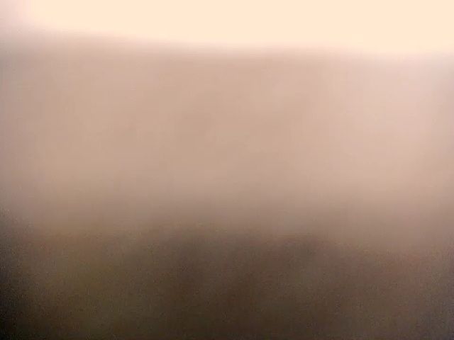 Live sex webcam photo for Viktoria_Vi #271304408