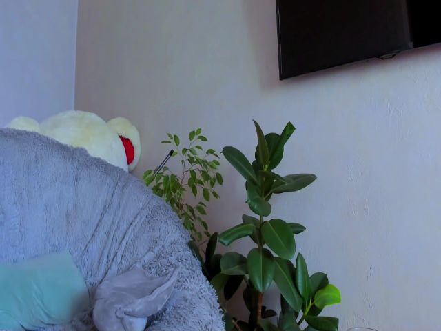 Live sex webcam photo for Amelya_ #271307568