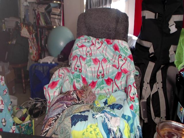 Live sex webcam photo for LolipopLittle #271312286