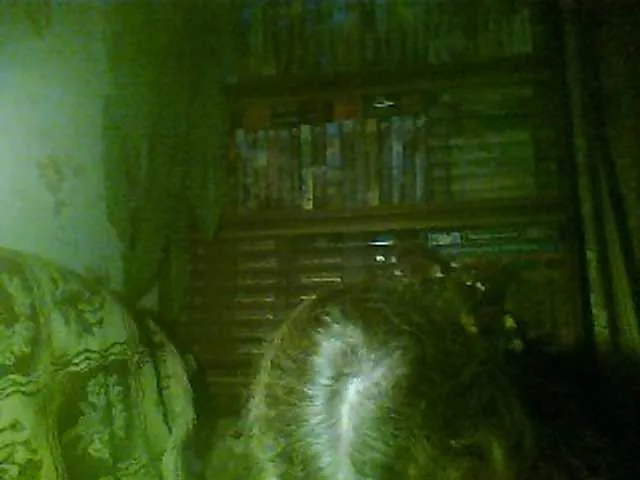 Live sex webcam photo for renaissance-a #271319791