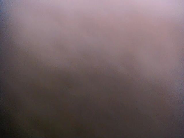 Live sex webcam photo for Viktoria_Vi #271332519