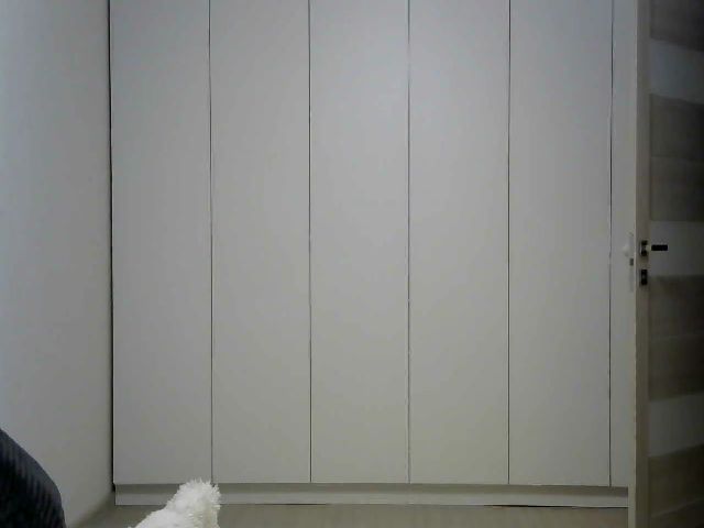 Live sex webcam photo for firm_asspiece #271327943