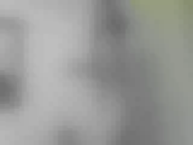 Live sex webcam photo for anto-leo #271326264