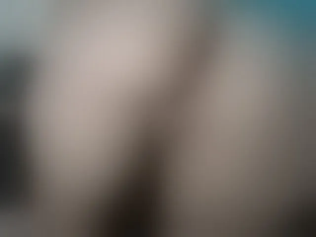 Live sex webcam photo for issabellaaf #271319187