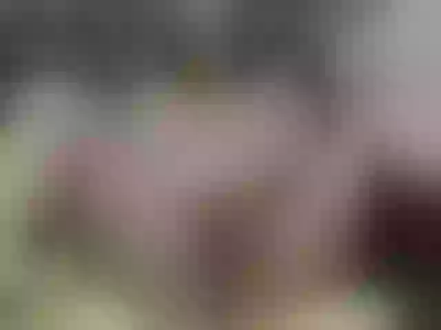 Live sex webcam photo for Madan-laren #271326362