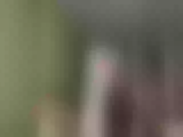 Live sex webcam photo for 1ouise #271322636