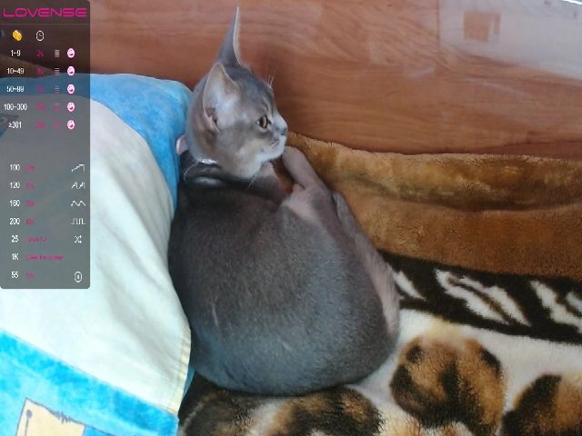 Live sex webcam photo for Katy_doll_19 #271340680
