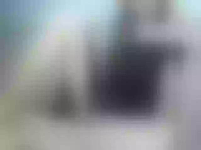 Live sex webcam photo for Mankayaa #271340646