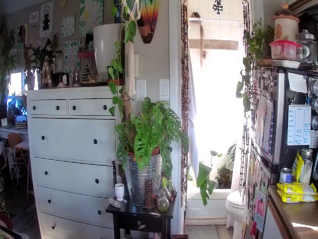 Live sex webcam photo for Sexylexi211 #271371486