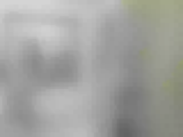 Live sex webcam photo for anto-leo #271368007