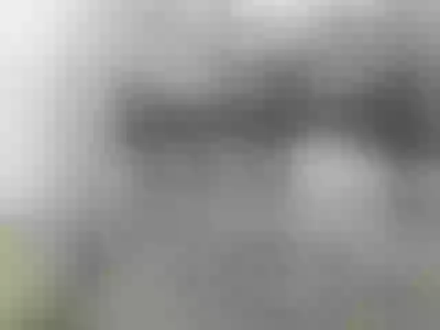 Live sex webcam photo for legsoffice #271384131