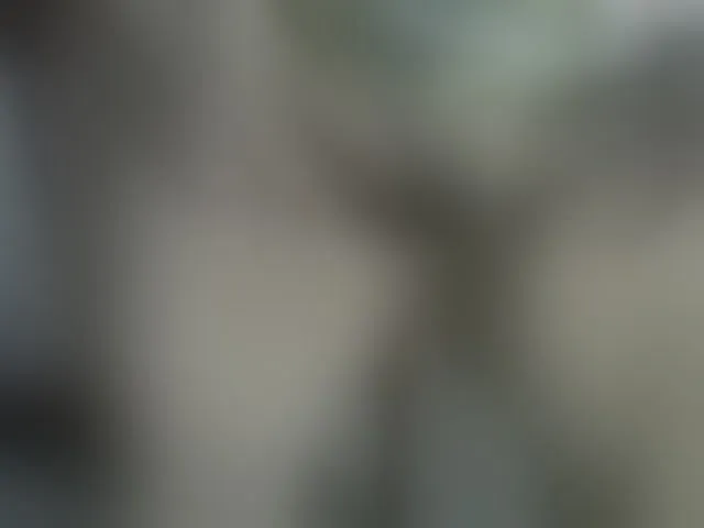 Live sex webcam photo for MulherBRRJ #271376833