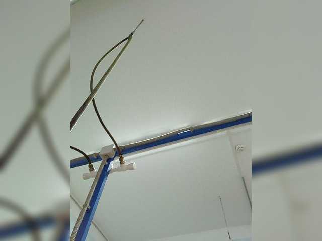 Live sex webcam photo for Anesteishen #271380558