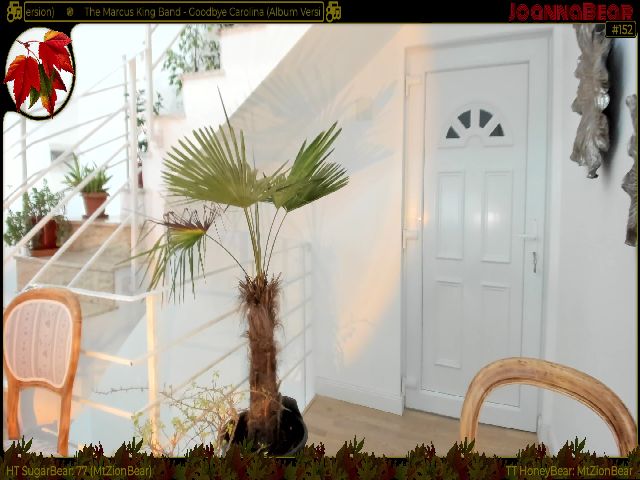 Live sex webcam photo for xJoannaBearX #271379640