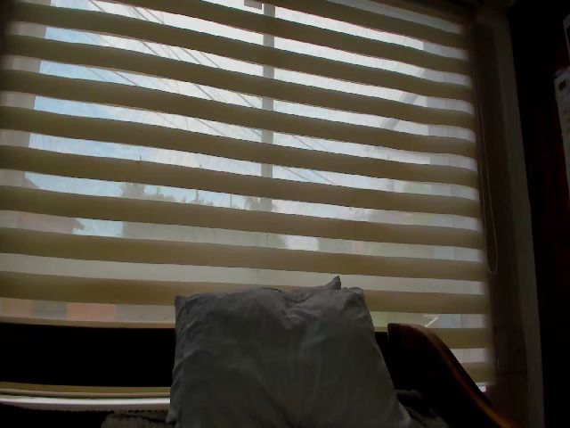 Live sex webcam photo for MarianaGomez1 #271391898