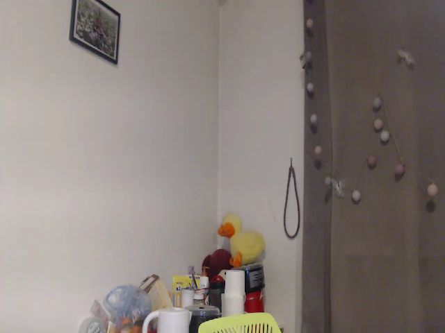 Live sex webcam photo for Curlymayaa #271396255
