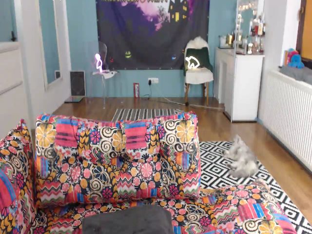 Live sex webcam photo for Conny___ #271394865