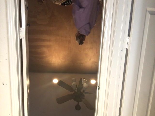 Live sex webcam photo for Viper710 #271400054