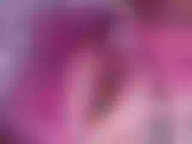 Live sex webcam photo for NikoraStar #271404692