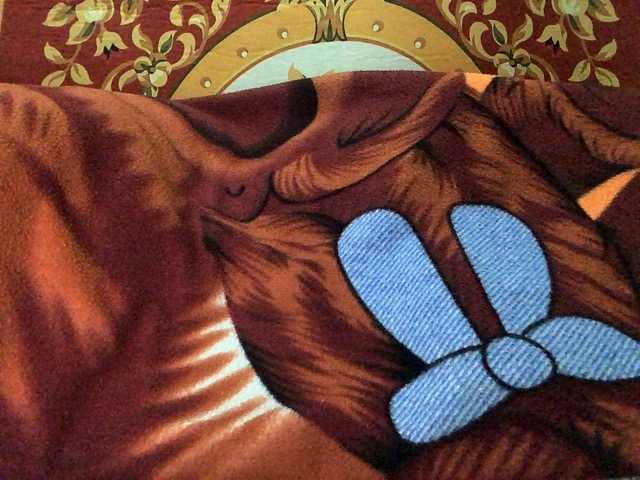 Live sex webcam photo for wettt12910 #271421215