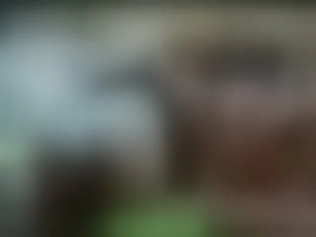 Live sex webcam photo for alisablond #271416521