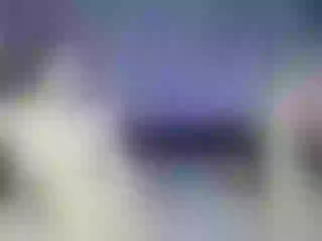 Live sex webcam photo for timon1201 #271420548