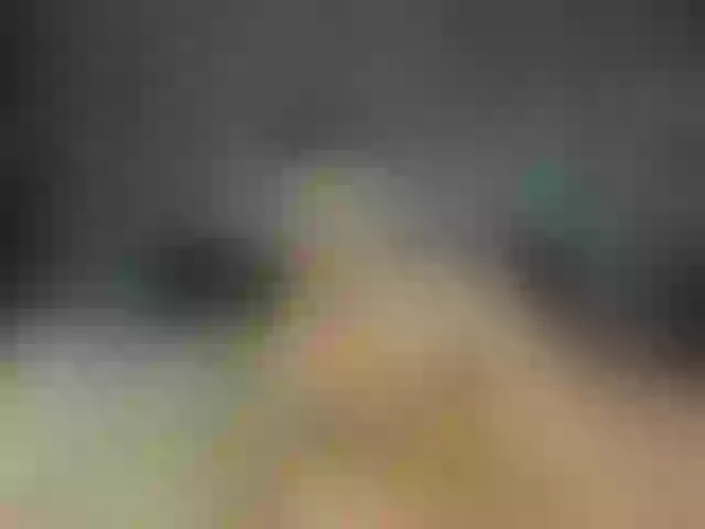Live sex webcam photo for timon1201 #271436969