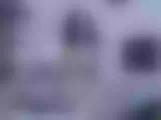 Live sex webcam photo for ciara-dominic #271426066