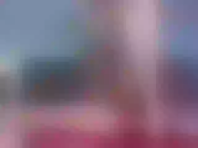 Live sex webcam photo for nicehotjob #271449519