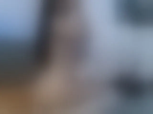 Live sex webcam photo for CarlyWild #271450105