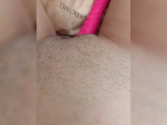 Live sex webcam photo for bird-titmouse #271443862