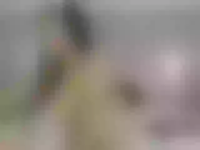 Live sex webcam photo for shantal20 #271450535