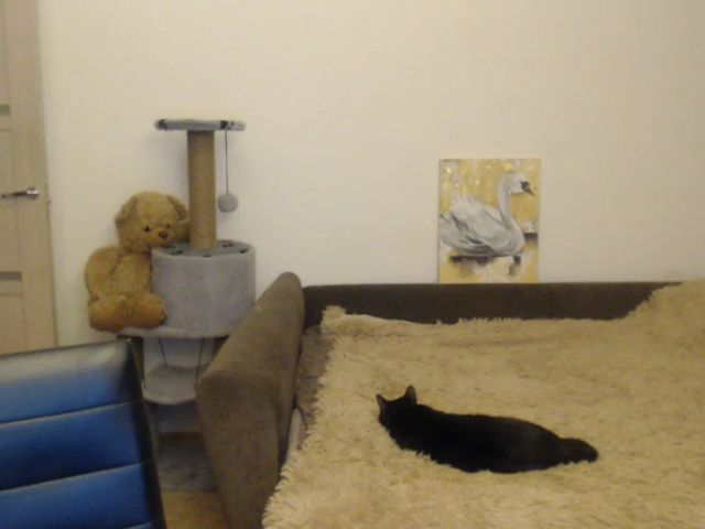 Live sex webcam photo for Miss_Enid #271443665